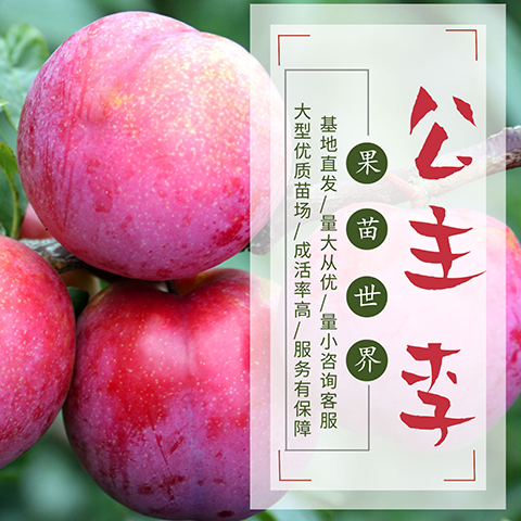 公主李