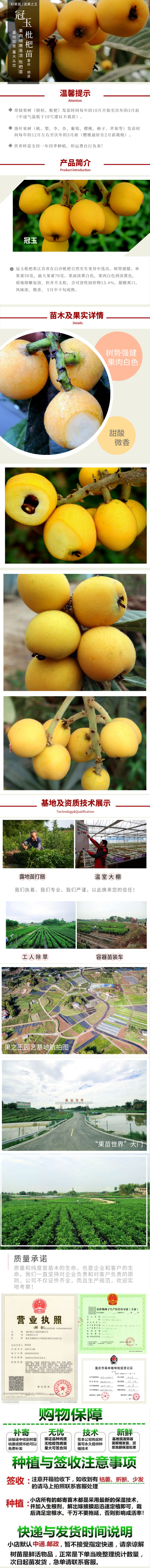 冠玉.jpg